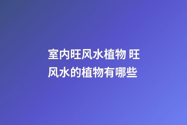 室内旺风水植物 旺风水的植物有哪些